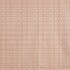 Piper Marmalade Fabric by Prestigious Textiles