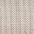 Pushkar Pimento Fabric by iLiv