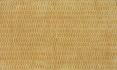 Image of Rialta ochre by Kai