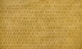 Image of Rialta pollen by Kai