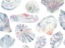 Image of Rock Pool abalone by Voyage