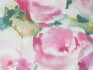 Image of rosa peony by Voyage