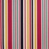 Roseland Stripe Carnival Fabric by Porter And Stone