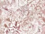 Image of rothesay coral by Voyage