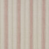 Image of sackvill stripe rosa by iLiv