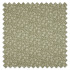 Swatch of Shimla Thyme