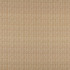 Varella Spice Fabric by Ashley Wilde