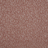 Wildcat Blush Fabric by iLiv