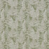 Image of Woodland Walk fern by iLiv