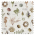 Swatch of St Helier Sea Weed