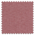 Swatch of Summit Begonia
