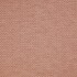 Westwood Rose Fabric by Prestigious Textiles