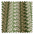 Swatch of Woodcote Forest