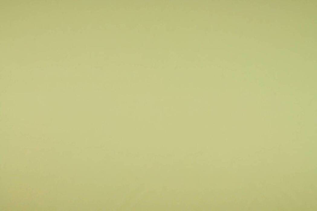 Asina Pistachio Fabric Flat Image