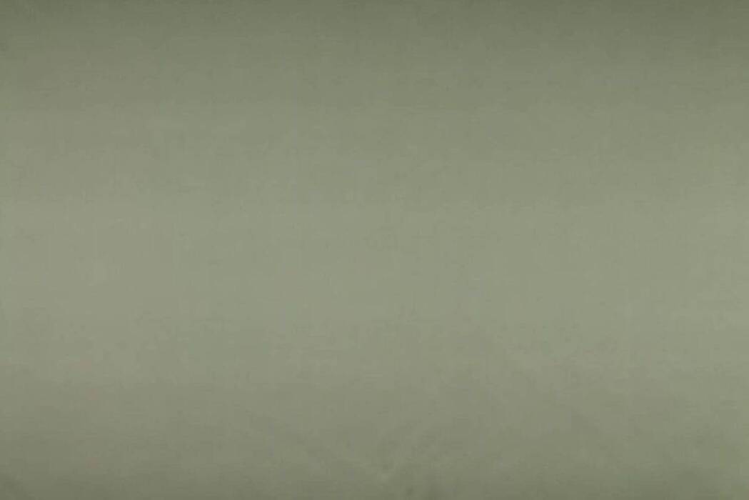 Asina Sage Fabric Flat Image