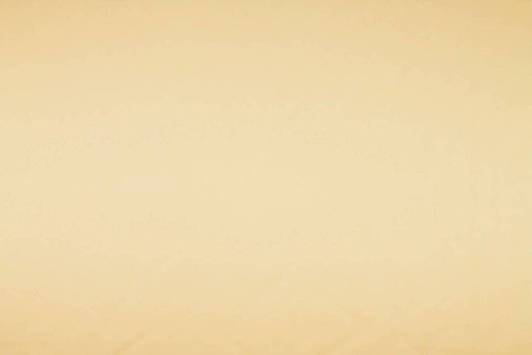 Asina Shell Fabric Flat Image