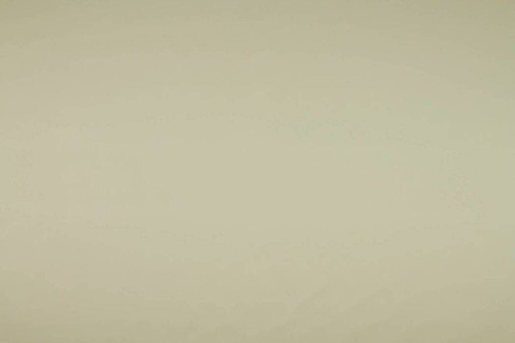 Asina Willow Fabric Flat Image