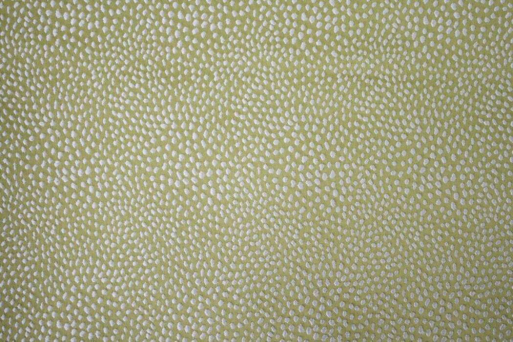 Blean Pistachio Fabric Flat Image