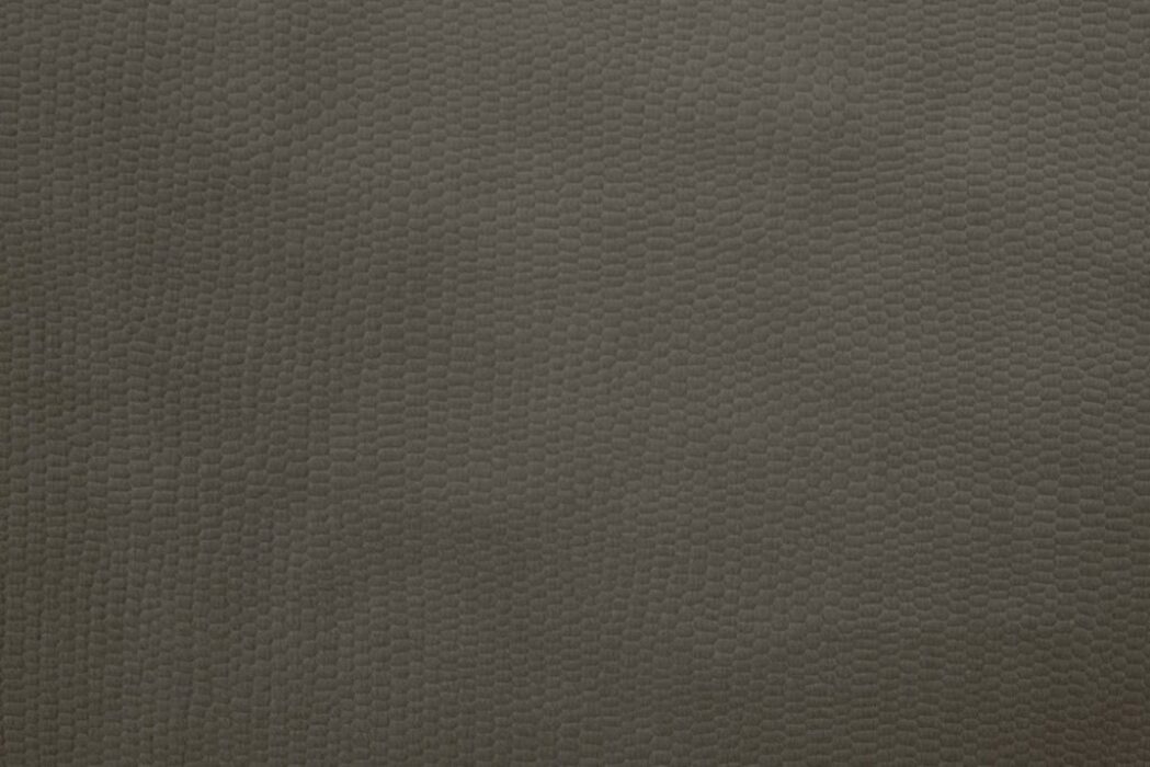 Hugo Birch Fabric Flat Image