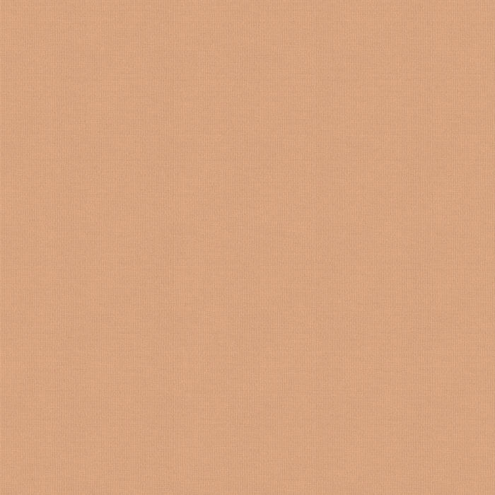 Bravo Plaster Blackout Roller Blind Fabric Sample
