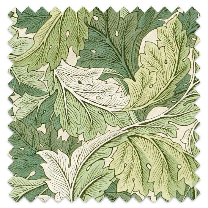 Swatch of Acanthus Apple Sage