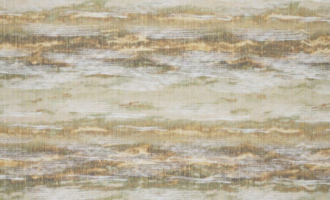 Image of amanzi fern by Kai