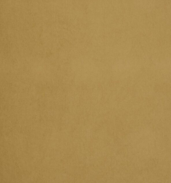 Arezzo Mustard Fabric by Ashley Wilde