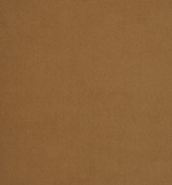 Arezzo Tan Fabric by Ashley Wilde