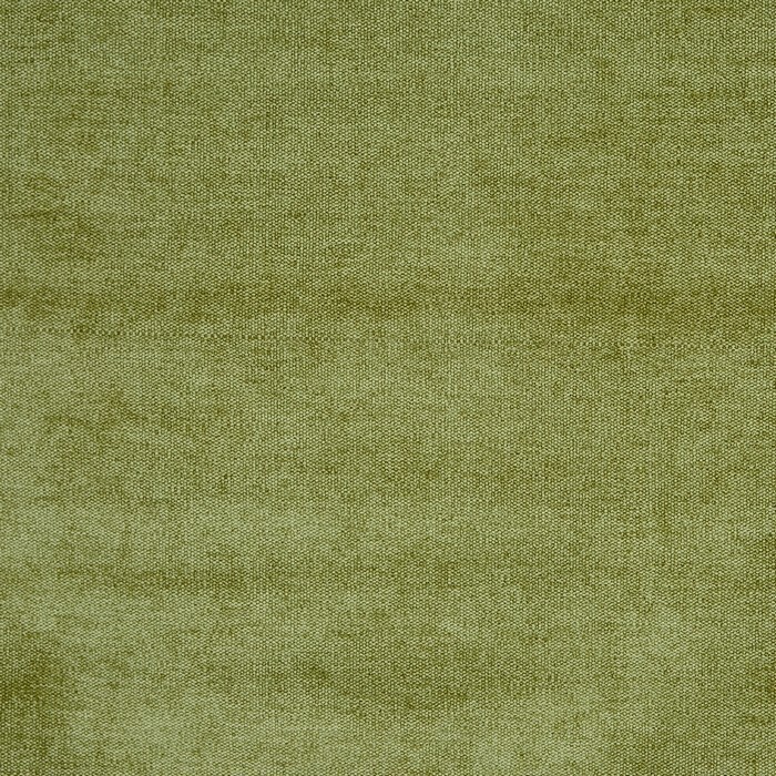 Image of Bravo olive by Prestigious Textiles
