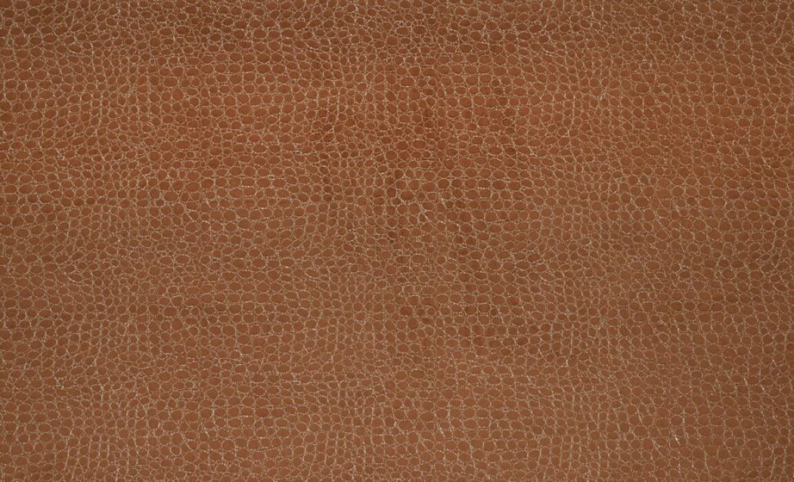 Image of cobra rust by Kai