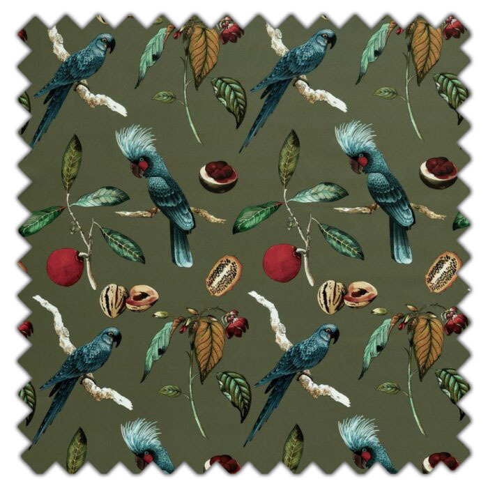 Swatch of Cockatoo Olive by Ashley Wilde