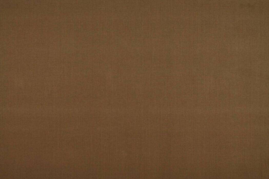 Cole Otter Fabric by Ashley Wilde