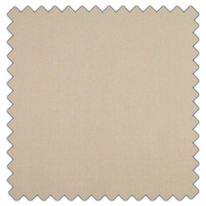 Swatch of Cole Shell by Ashley Wilde