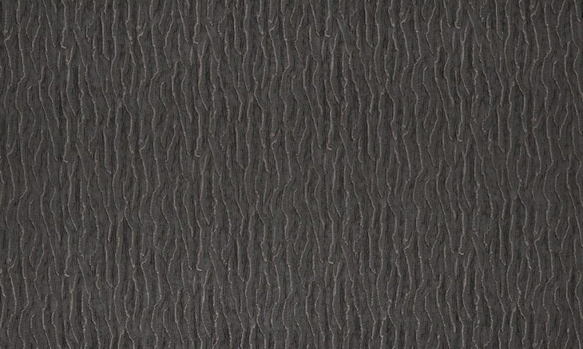 Image of equidae onyx by Kai