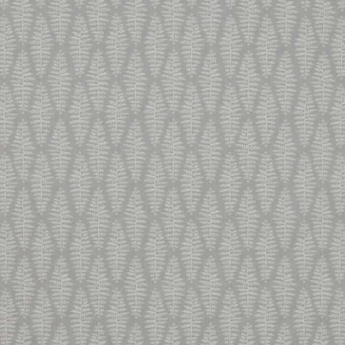 Image of Fernia dove by iLiv