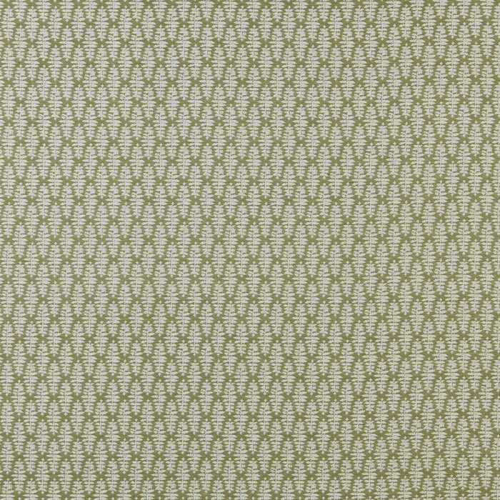 Image of Fia fern by iLiv