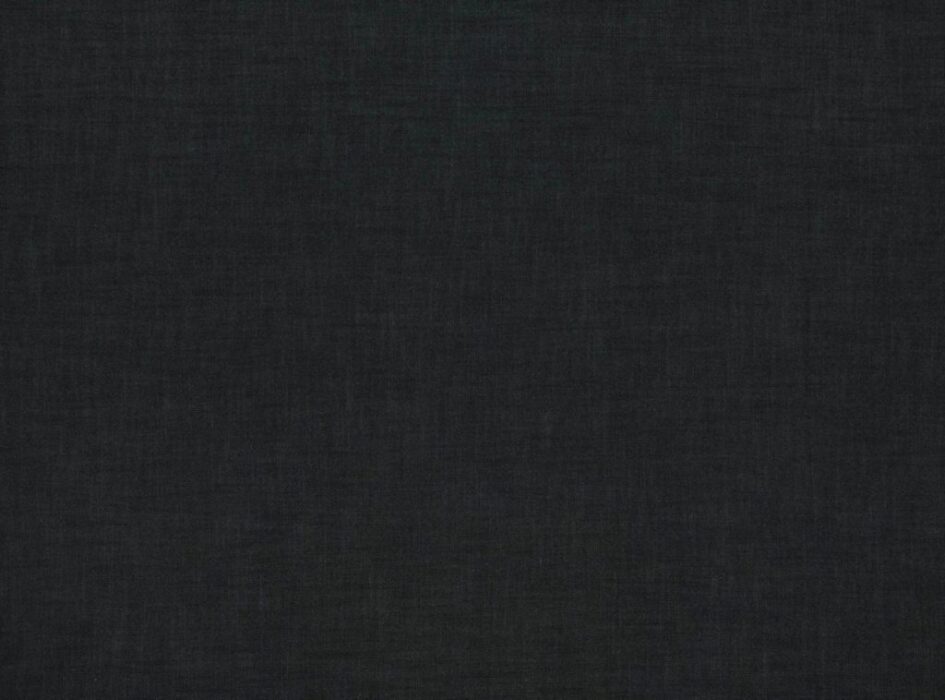 Image of Florenzo charcoal by Ashley Wilde