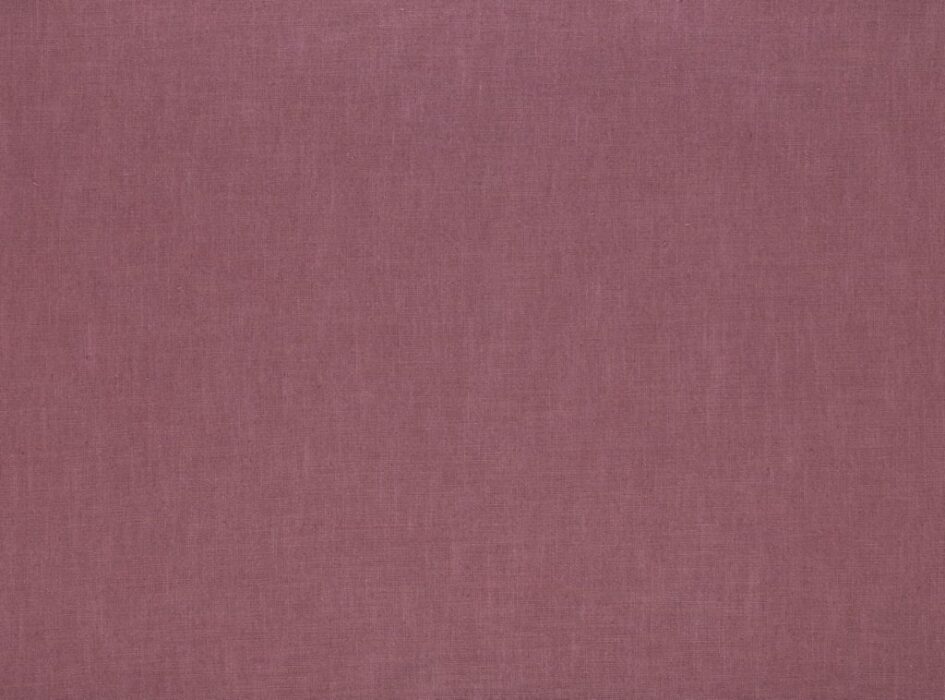 Image of Florenzo rose by Ashley Wilde