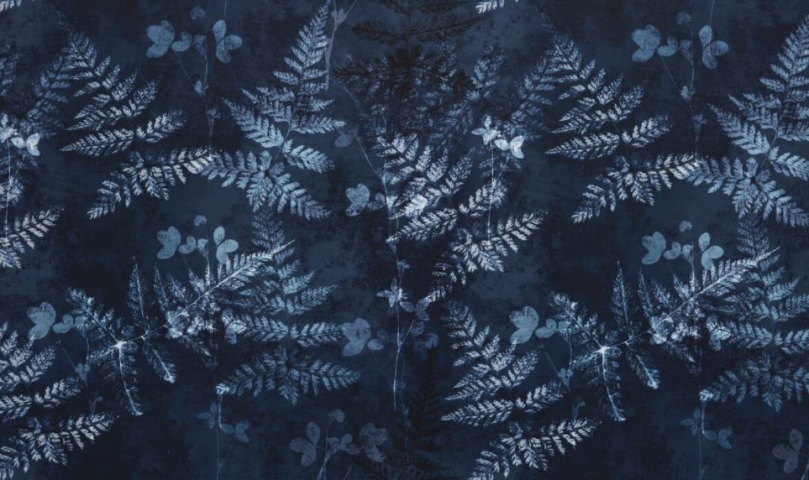 Image of folium indigo by Ashley Wilde