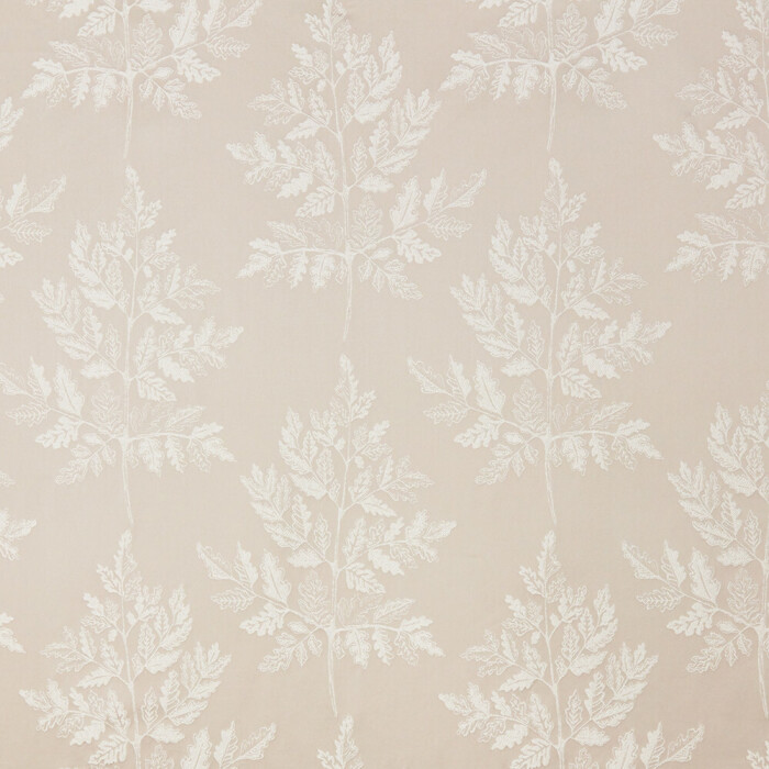 Image of haldon putty by iLiv