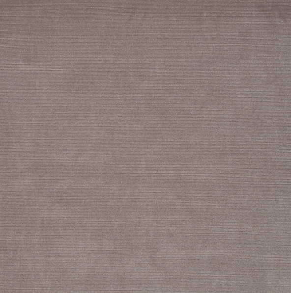 Lanata Dove Fabric by iLiv