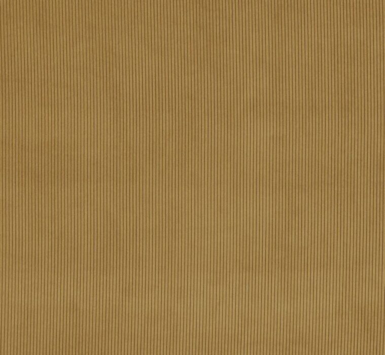 Lucio Mustard Fabric by Ashley Wilde