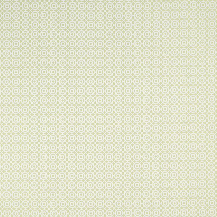 Image of maze spruce by iLiv