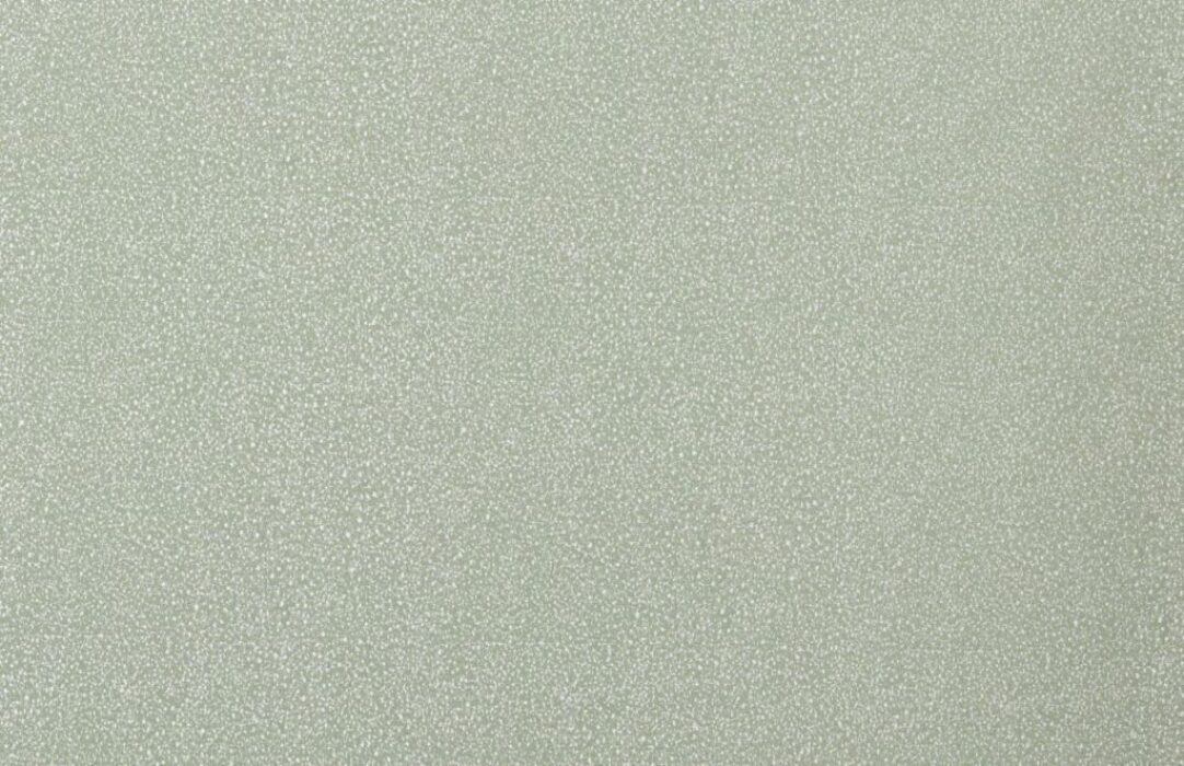 Image of metsi aloe by Kai