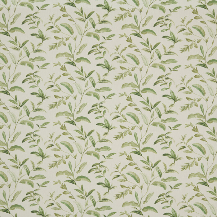 Image of Oasis spruce by iLiv