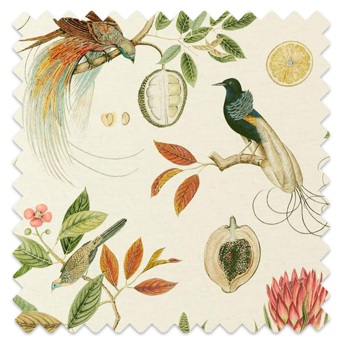 Swatch of Paradesia Orange/Olive