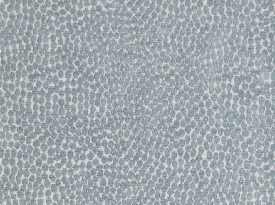 Image of pebble shark by Voyage