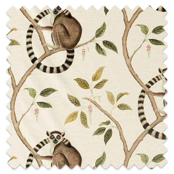 Swatch of Ringtailed Lemur Olive