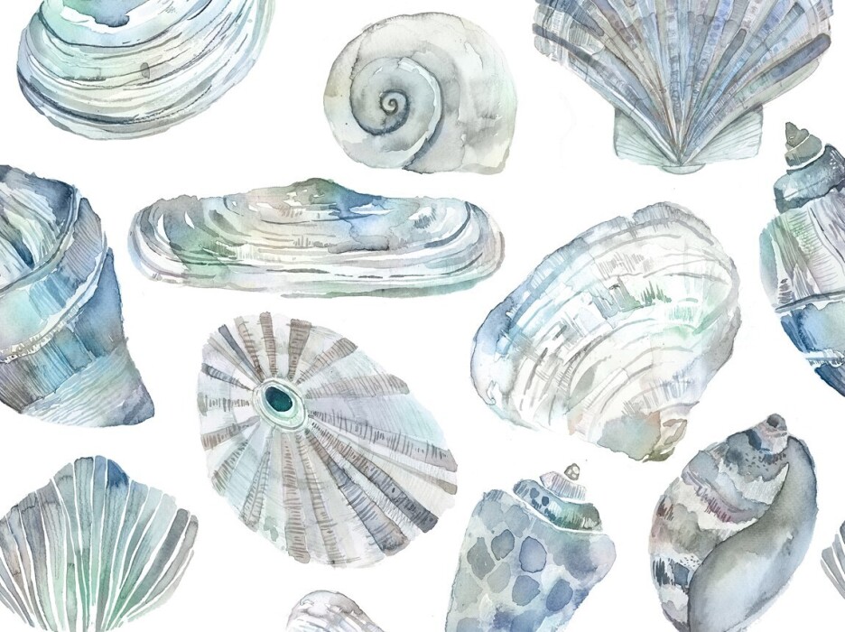 Image of Rock Pool marine by Voyage