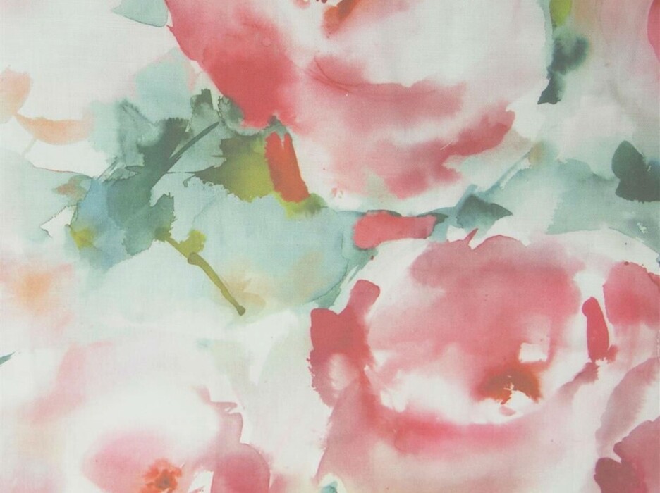 Image of rosa russet by Voyage